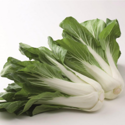 Bopak F1 2500 nasion precyzja st